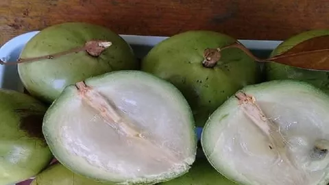 Jarang Diketahui, Manfaat Buah Sawo Durian untuk Kesehatan  - GenPI.co