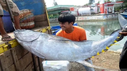 Ekspor Perikanan Bangkit Pada New Normal - GenPI.co
