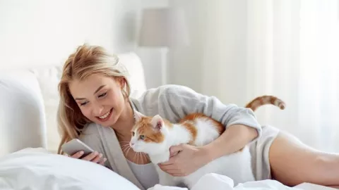 Bolehkah Wanita Memelihara Kucing Saat Program Kehamilan? - GenPI.co