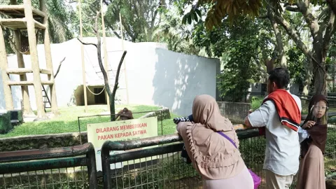 Penampakan Kebun Binatang Ragunan Setelah 1 Bulan Dibuka Kembali - GenPI.co