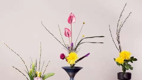 Mengenal Ikebana, Seni Merangkai Bunga dari Jepang - GenPI.co