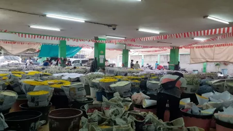 Sepi Pembeli, Penjual Bunga Pasar Rawa Belong Menjerit  - GenPI.co