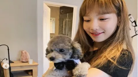 Menggemaskan Lihat Taeyeon SNSD Rayakan Ultah Anjing Kesayangan - GenPI.co