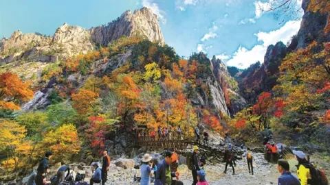 3 Destinasi Wajib Dikunjungi saat Musim Gugur di Korea, Apa Saja? - GenPI.co