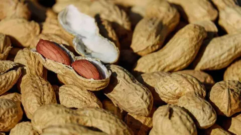 Raih Manfaat Kacang Tanah untuk Obati Diabetes, Mantul! - GenPI.co