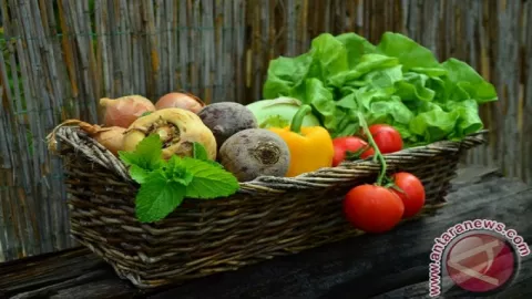 Daftar Buah dan Sayur Paling Kotor di Supermarket - GenPI.co