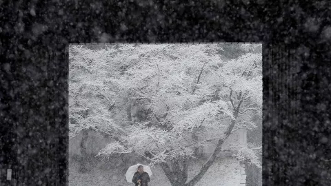 Akibat Badai Salju, Seorang Tewas dalam Kendaraan di Jepang - GenPI.co