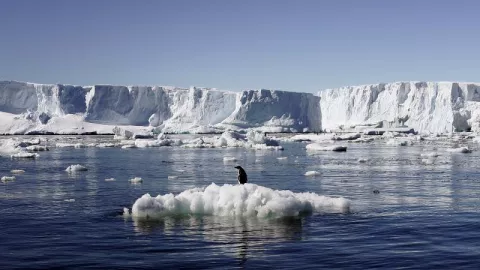Ilmuwan Ini Temukan Kehidupan di Bawah Lapisan Es Antartika, OMG! - GenPI.co