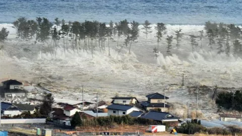 Breaking News, Selandia Baru Berpotensi Tsunami, Menghujam Nurani - GenPI.co
