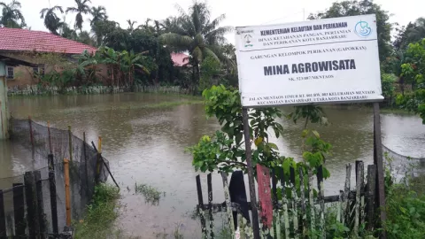 Korban Bencana, Pembudi Daya Ikan Ramai Ajukan Klaim Asuransi - GenPI.co