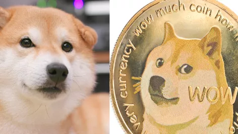 Shiba Inu Lambang Dogecoin, Anjing Petualang Sekaligus Lembut - GenPI.co