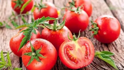 Konsumsi Tomat Ampuh Atasi Resiko Kanker Payudara - GenPI.co