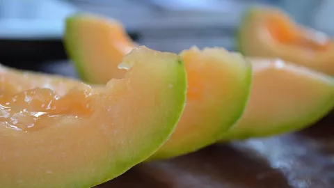 Kulit Melon Bisa Bikin Si Dia Makin Sayang, Jangan Dibuang ya! - GenPI.co