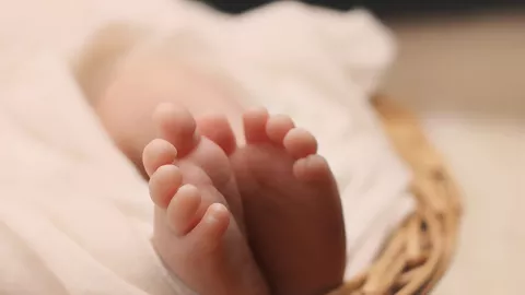 Bayi Ini Jadi Pendonor Organ Termuda, Umurnya Hanya 74 Menit - GenPI.co