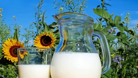 Manfaat Susu Kambing untuk Kesehatan Dahsyat Banget, Buktikan! - GenPI.co