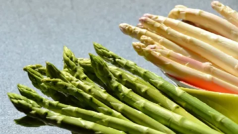 Manfaat Makan Asparagus Ternyata Sangat Mencengangkan!  - GenPI.co