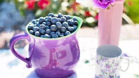 Tak Hanya Enak, Blueberry Banyak Manfaat Bagi Kecantikan - GenPI.co