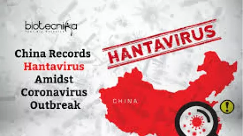 Setelah Corona, China Digegerkan dengan Hantavirus - GenPI.co