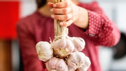 Bawang Putih Bikin Nagih, Jantung dan Kolesterol Bisa Bersih - GenPI.co