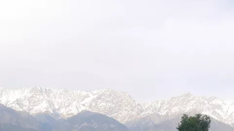 Gunung Himalaya Tampakkan Wajah Cantiknya Akibat Corona - GenPI.co