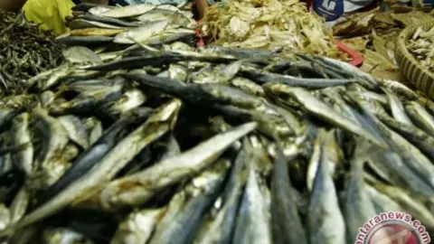Ikan Berformalin Ditemukan di Pasar Kulon Progo - GenPI.co