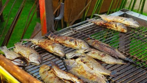 Cara Ampuh Melepaskan Tulang Ikan Menyangkut di Tenggorokan - GenPI.co