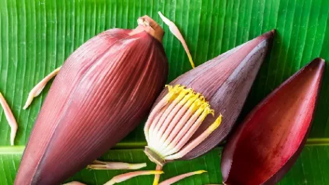 Jangan Sepelekan, Khasiat Makan Jantung Pisang Bikin Wanita Makin - GenPI.co