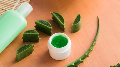 5 Produk Kecantikan Dengan Bahan Aloe Vera yang Laris Di Pasaran - GenPI.co