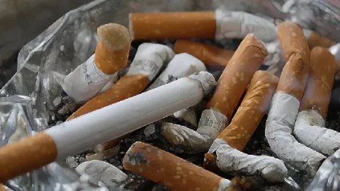 Hasil Penelitian, Merokok Dapat Menyebabkan Penuaan Dini - GenPI.co