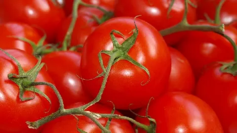 Jangan Remehkan, Manfaat Tomat Ternyata Sangat Mencengangkan - GenPI.co