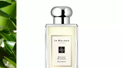 Jo Malone Orange Blossom, Parfum Beraroma Floral yang Romantis - GenPI.co