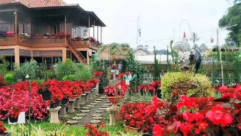 3 Taman Bunga Romantis Cocok untuk Rayakan Valentine, Lihat! - GenPI.co