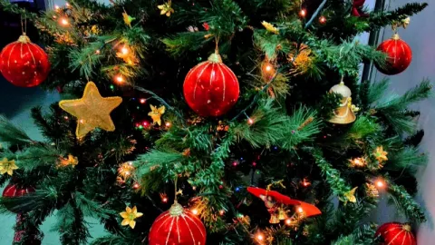 3 Fakta Unik Seputar Pohon Natal yang Jarang Diketahui - GenPI.co