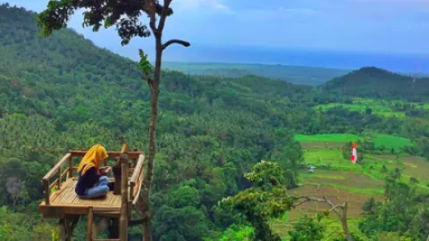 Rumah Pohon Gangga, Destinasi Serba Hijau di Lombok - GenPI.co