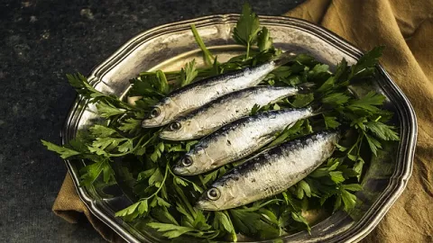 Kaya Mineral dan Protein, Segudang Manfaat Konsumsi Ikan Sarden - GenPI.co