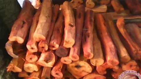 Rajin Minum Resep Tradisional Ini, Bikin 4 Penyakit Kronis Ambrol - GenPI.co