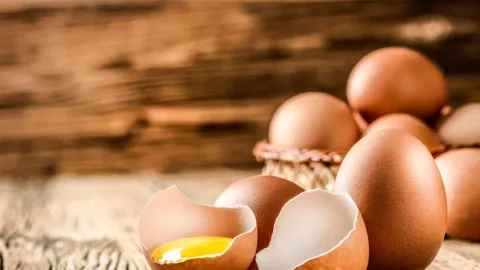 Jarang Diketahui, Keunggulan Telur Omega 3 Dibanding Telur Biasa - GenPI.co