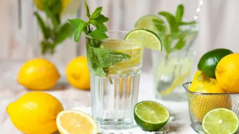 Minum Air Lemon Baik Setiap Pagi, Bikin Badan Bugar Pikiran Segar - GenPI.co