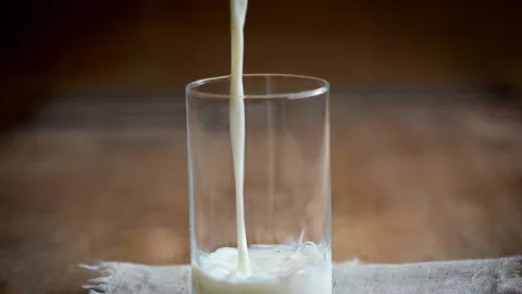 Menentukan Jenis Susu yang Cocok untuk Diabetes - GenPI.co