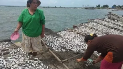 Melupakan Bencana Tsunami 2018, Nelayan Pandeglang Panen Ikan - GenPI.co