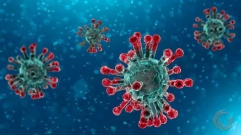 Dua Virus Ganas Bikin Amerika Tak Berdaya  - GenPI.co