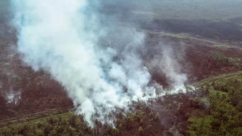 Awal 2021, Terjadi 173 Kebakaran Hutan di Indonesia - GenPI.co