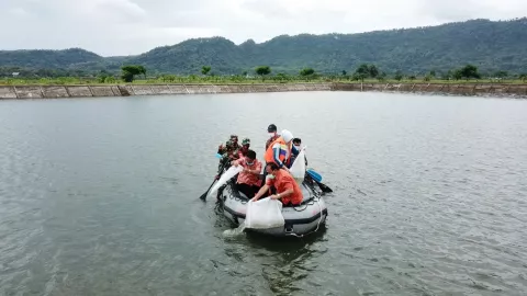 Jangan Sampai Punah, 100 Ribu Benih Ikan Nilem Ditebar - GenPI.co