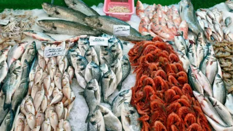Rutin Makan 7 Jenis Ikan Ini Bisa Meningkatkan Kesuburan Pasangan - GenPI.co