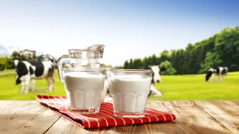 Rutin Konsumsi Susu Sapi A2, Mampu Mencegah Risiko Diabetes - GenPI.co