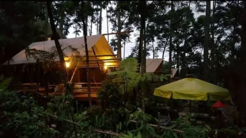 Camping Nyaman di Pondok Rasamala, Nuansa Hutannya Dapat! - GenPI.co