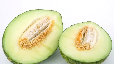 Rutin Makan Buah Melon Ternyata Wow Banget, Khasiatnya Luar Biasa - GenPI.co