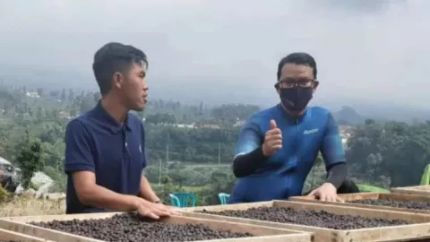 Untung Menggiurkan, Pemuda Temanggung Kembangkan Kopi Lokal - GenPI.co