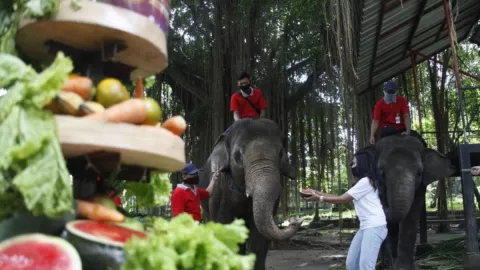 Pelonggaran Aturan, Kunjungan Solo Zoo Meningkat - GenPI.co