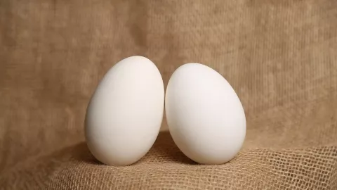 Suami Minum Campuran Telur Bebek dan Madu, Istri Pasti Ketagihan - GenPI.co
